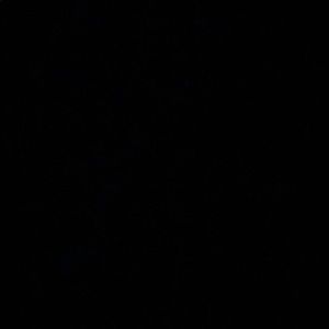 Meet your Posher, Kami